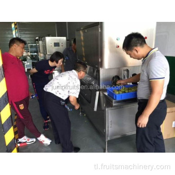 Pineapple peeling machine cutting machine